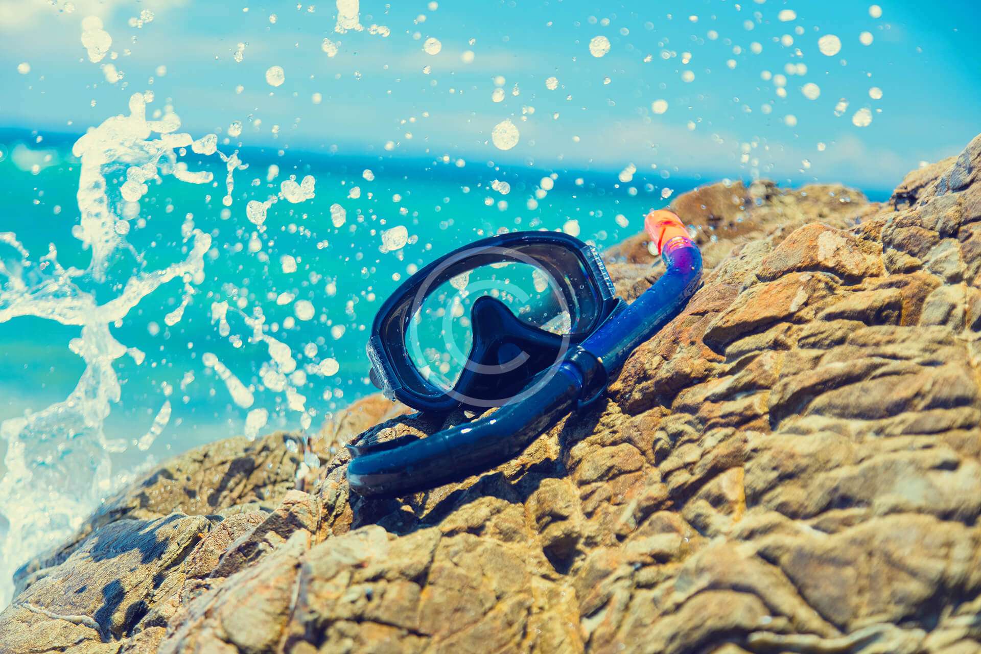 Dive Certification Courses